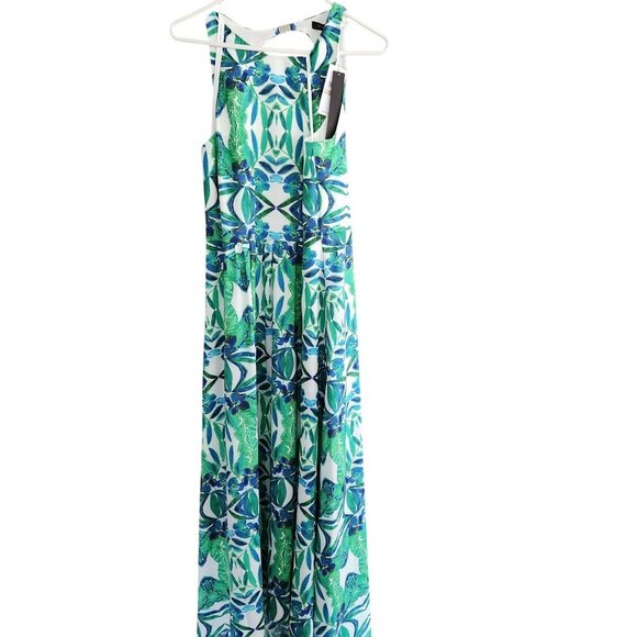 Cynthia Steffe Sydney Printed Dress Floral Maxi Summer Women's Size 12 New NWT - Picture 2 of 10
